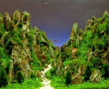 Aquarium-Umzug Kaiserslautern: Aquarium mit Felslandschaft und Pflanzen